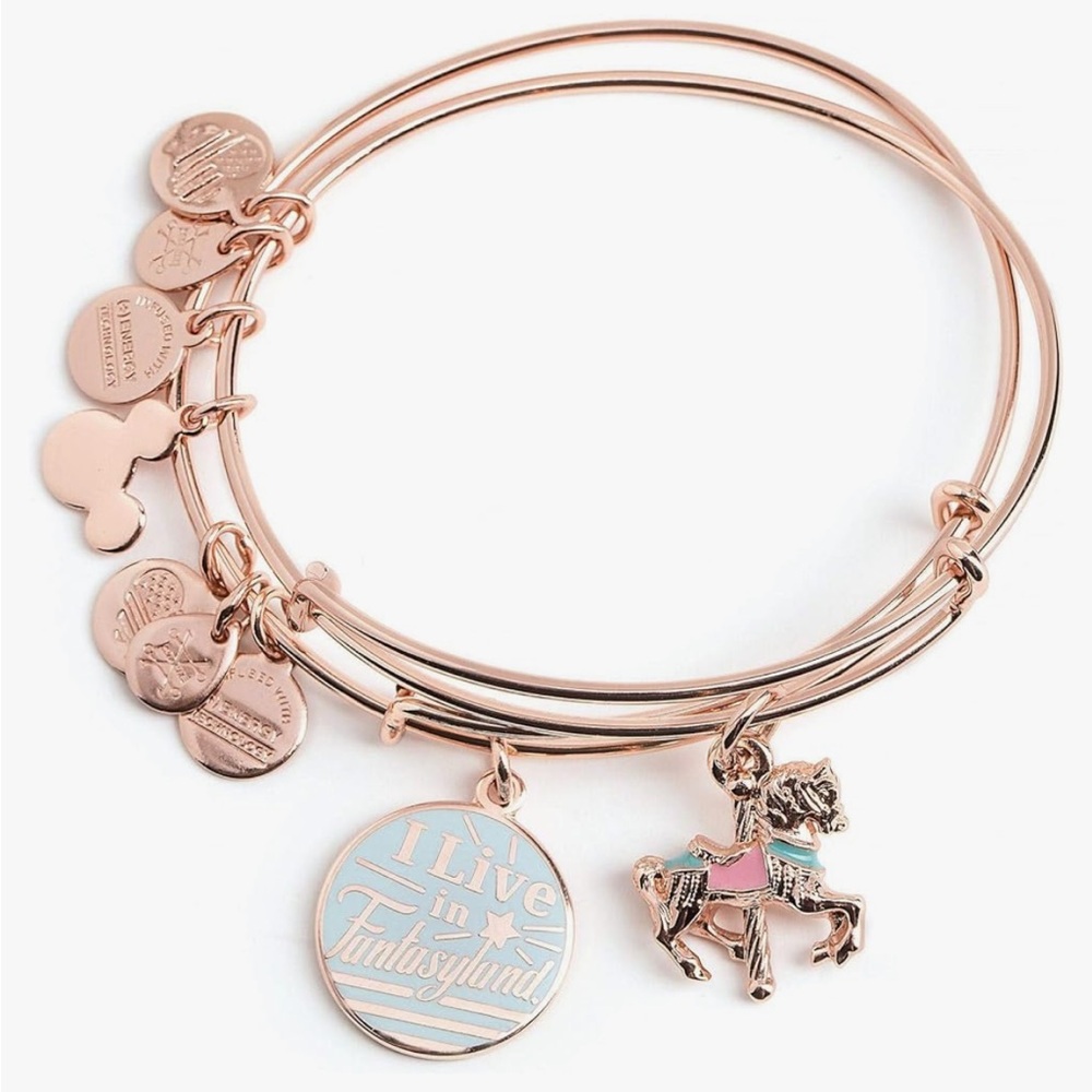 😍 Disney Alex and Ani bangle set